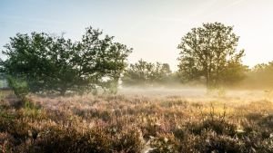 Kesselse-Heide B