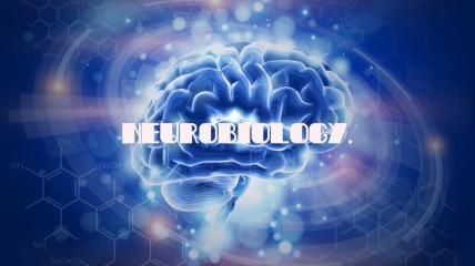 Lezing: "Naar een wereld zonder Parkinson".