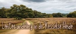 DF Activiteiten Hoofding Kesselheide 1E